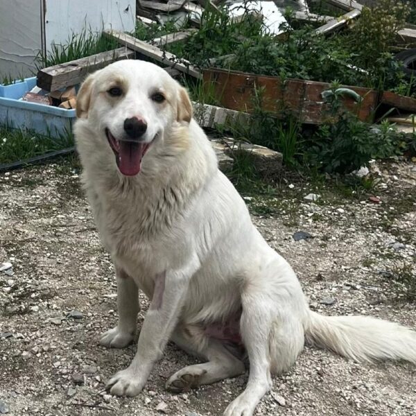 Billy